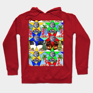 Worldly Winter Whimsy Hoodie